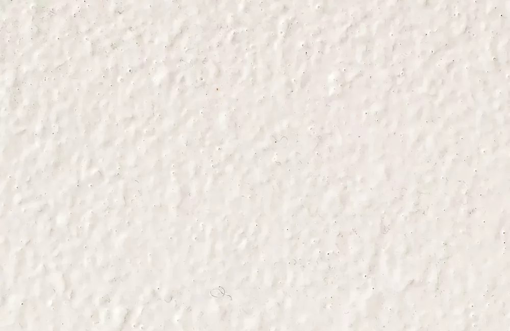 Flakestrap Serie Uni Berk